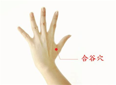 阳池准确位置图片