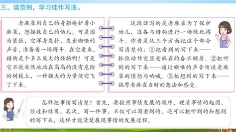 《生活万花筒》作文400字(10篇)-Word模板下载_编号lgakknzw_熊猫办公