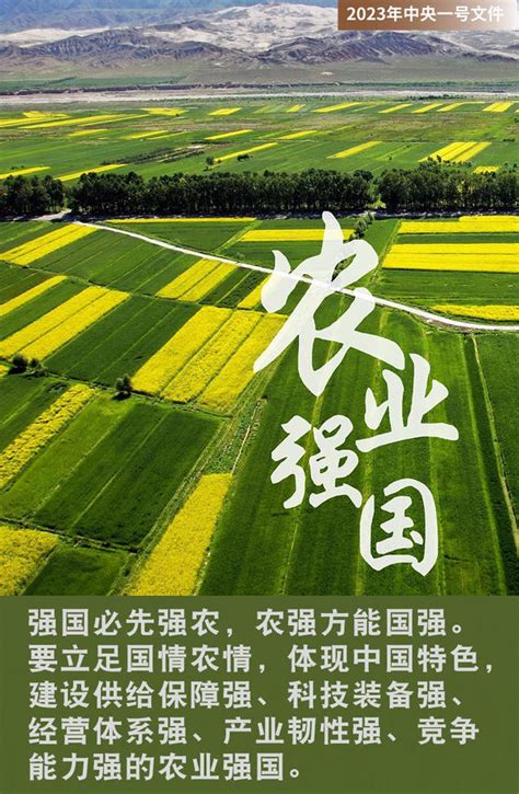 2019年中央一号文件公布 提出坚持农业农村优先发展总方针_山东宣传网