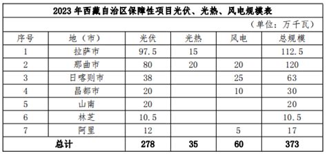 观局 | 西藏2023年新能源项目竞配落定： 国投、能建、中核、华电占据半壁江山-新华网