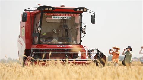德州市“三夏”小麦机收顺利结束 814.8万亩小麦颗粒归仓-大略网