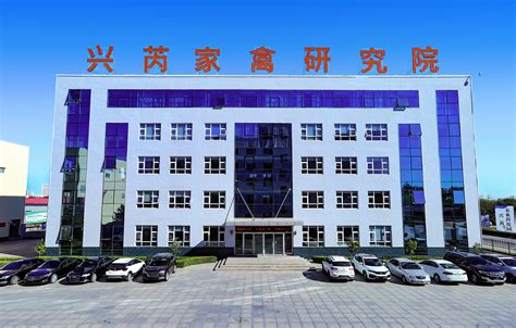 即食型乳酸菌粉-杭州百芮生物科技有限公司