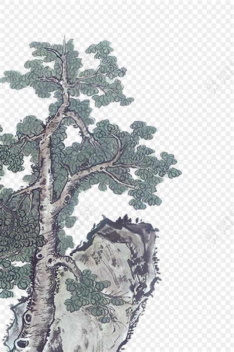 【连载】值得收藏的88种国画松树画法课稿（二） - 知乎