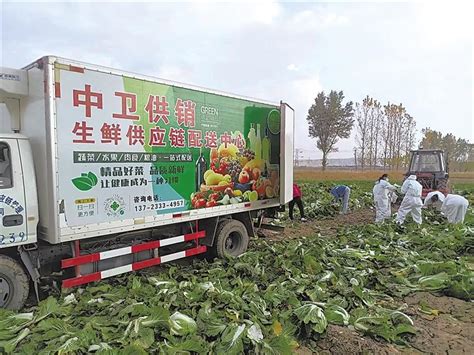 贵州蔬菜集团：打通全产业链 构建蔬菜大流通升级版
