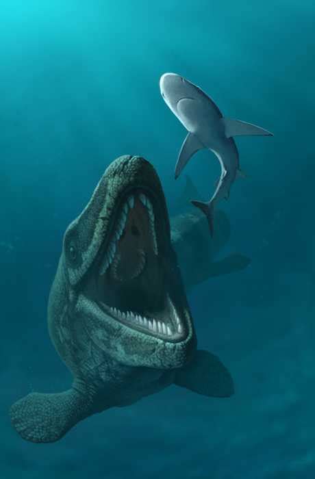 史前海洋巨兽沧龙是怎样的生物？它们的体型有多大？|霸王龙|龙|海洋_新浪新闻