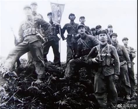 79年同登激战，越军炮火协同，追击解放军连队，抬头：漫天火箭弹