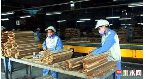 2020年前6个月越南木材和林产品出口额同比增长3.9%【木材圈】 - 木业行业 - 木材圈