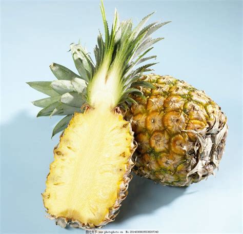酸甜助消化，菠萝该怎么种植？这些要点告诉你！