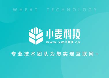惠州小程序公众号开发_APP定制_网站建设_分销商城_陪玩平台开发_小麦科技