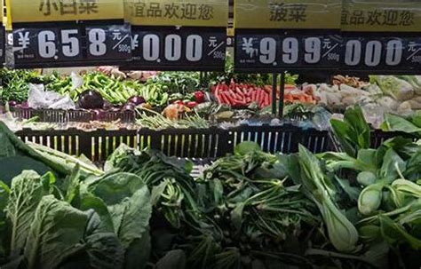 面对持续上涨的菜价，可以在家无土栽培蔬菜！-江苏荣诚农业科技发展有限公司
