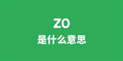 zo是什么意思_zo怎么读 中文翻译是什么_学习力