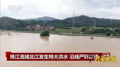 北江洪水汹涌 清城区北江南岸公园部分亲水设施水淹
