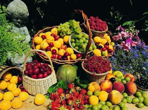 凭祥边境水果市场见闻：一年四季，都是旺季 - 广西县域经济网