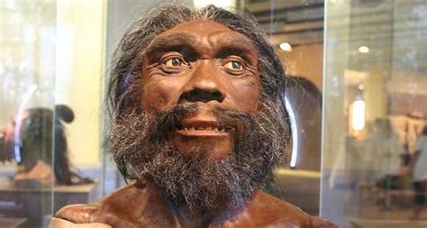 史前原始人类生活被揭秘，研究学者：我们祖先可能不是类人猿