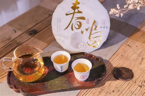 茶语白茶品鉴会-茶语网,当代茶文化推广者