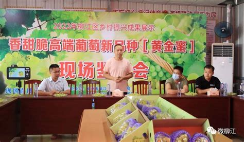 广西柳江：线上展销助农增收-人民图片网