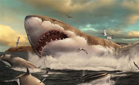 海中的恐怖之战：邓氏鱼VS巨齿鲨 | 景盛龙翔