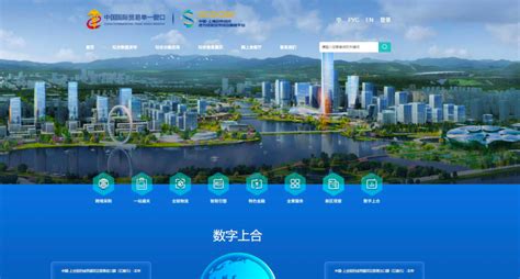 上海市关于本市试行部分新增医疗服务价格项目的通知