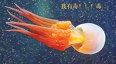 盘点十种最毒动物：从子弹蚁到大毒蜥---中国科学院三江源国家公园研究院 中国科学院西北高原生物研究所