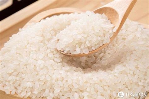 中国最好吃的大米在哪？那就要说一下东北名声显赫的“五常大米”__财经头条