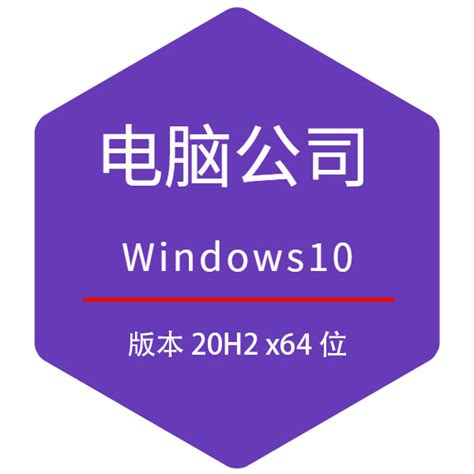 电脑公司Win10 20H2专业版 64位系统下载 2021.01_系统之家
