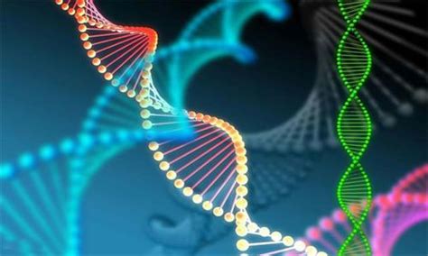 DNA基因科技染色体医学三维动画视频素材,生物医疗视频素材下载,高清1920X1080视频素材下载,凌点视频素材网,编号:514464