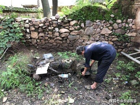 腾蛇入口面相图片