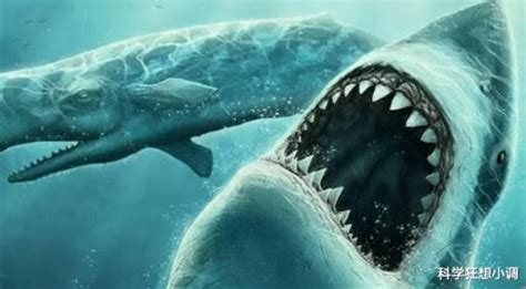 巨齿鲨vs沧龙！史上最强咬合力的巨齿鲨，能将沧龙轻松拿下吗？_高清1080P在线观看平台_腾讯视频
