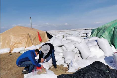 中国工程院武强院士团队赴玛曲各矿山企业指导调研生态环境破坏问题整改工作-甘南藏族自治州生态环境局