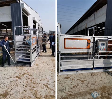 全套畜牧设备实现自动化养殖 - 知乎