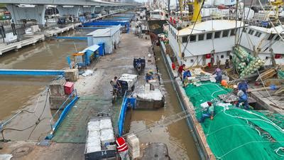 浙江舟山：回港避风的渔船带回大量海鲜-人民图片网