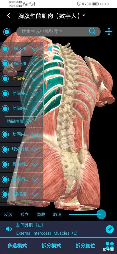 3dbody人体解剖学app下载-3dbody三维免费人体解剖软件下载v8.7.51 官方安卓版-绿色资源网