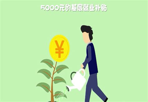 昆明呈贡鼓励高校毕业生就业创业 “真金白银”补贴怎么领？_中国国情_中国网