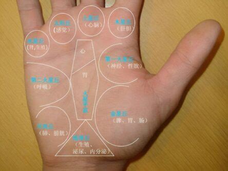 手诊图解看疾病图片