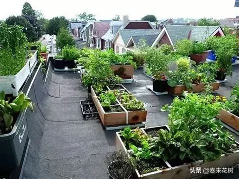 别墅院子菜园设计,简单又实用的庭院菜园,40平小院子_大山谷图库