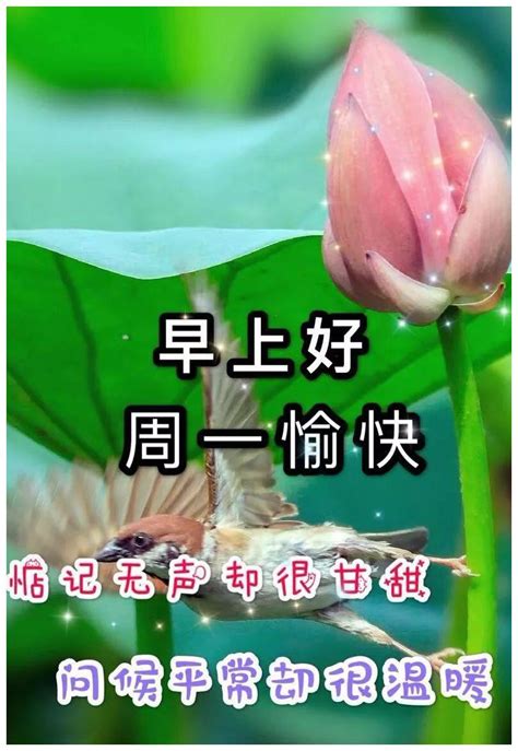 周一问候图片