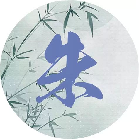 朱氏头像非主流