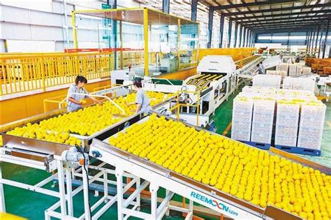 今年1-7月 重庆外贸进出口总值近5000亿元-重庆市招商投资促进局