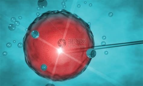 彩色扁平体外受精 IVF 信息图表，包括从卵巢刺激到怀孕的步骤 向量例证背景图片免费下载_海报banner/高清大图_千库网(图片编号6283405)