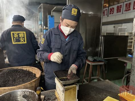 2023开年一线观察｜雅安雨城：2023年藏茶产业产值力争突破百亿大关_四川在线