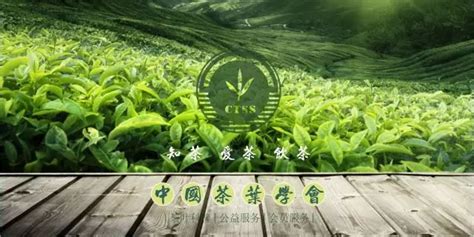 普洱茶产业发展迎来新时期 《普洱市茶产业绿色发展实施意见》解读_时政_云南频道_云南网