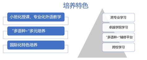 全球语种人口分布图_天津翻译公司-小语种翻译-专业翻译公司-同传翻译-会议翻译-天津译铭天翻译公司