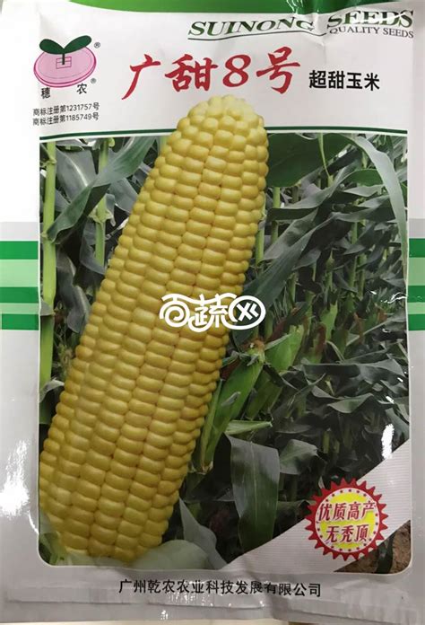 吉农玉719玉米种子特征特性，附简介-农百科