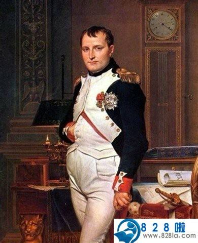 拿破仑童年介绍 拿破仑成长发生了什么-文史故事 - 828啦