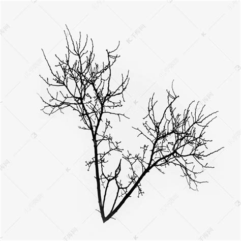 冬天干枯凋零的树枝素材图片免费下载-千库网