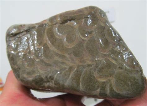 这个的石头可是大自然的造化，它称“鱼鳞石”，还与龙有关！|大自然|鱼鳞|龙_新浪新闻