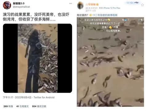武汉府河40公里水道泛起成片死鱼_频道_凤凰网
