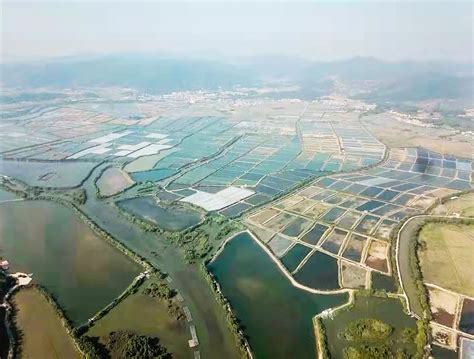 1人管理200亩池塘，这里有一个6800亩的水产养殖示范基地|广州市|渔业_新浪新闻