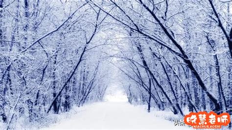 描写“冬天”的好词好句好段好诗，用在作文绝对加分_文易搜