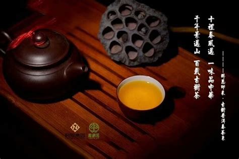 静心饮茶的美文摘抄,关于静心品茶的散文,喝茶心境的句子_大山谷图库